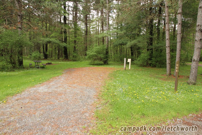 Campsite Photo of Site 305 at Letchworth State Park, New York - Looking at Site from Road Sign Visible