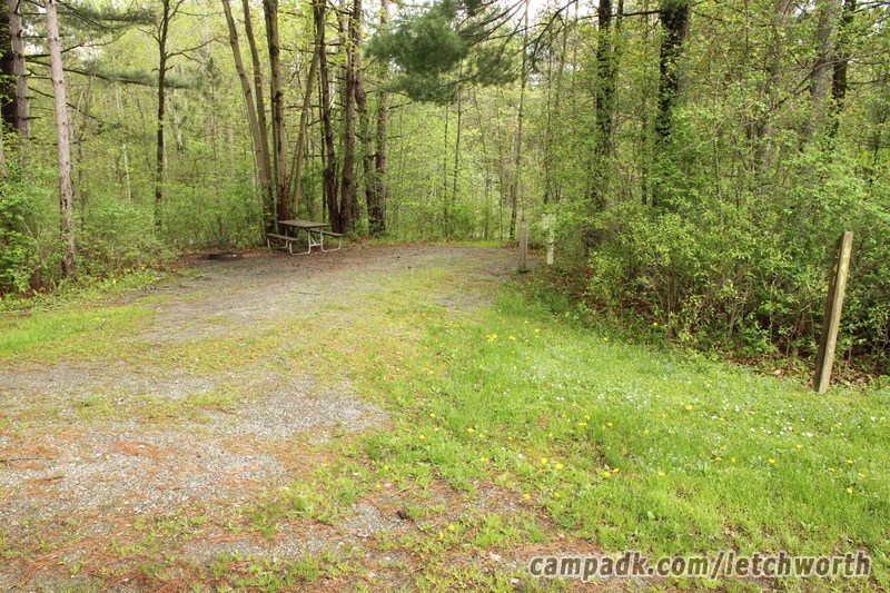 Campsite Photo of Site 341 at Letchworth State Park, New York - Looking at Site from Road Sign Visible