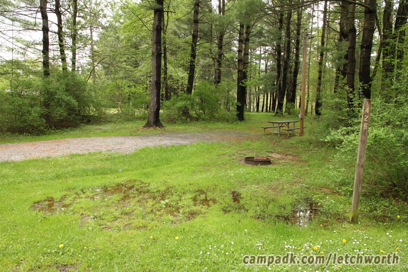 Campsite Photo of Site 425 at Letchworth State Park, New York - Looking at Site from Road Sign Visible