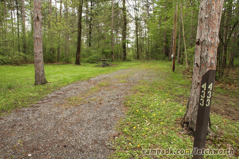 Campsite Photo of Site 433 at Letchworth State Park, New York - Looking at Site from Road Sign Visible
