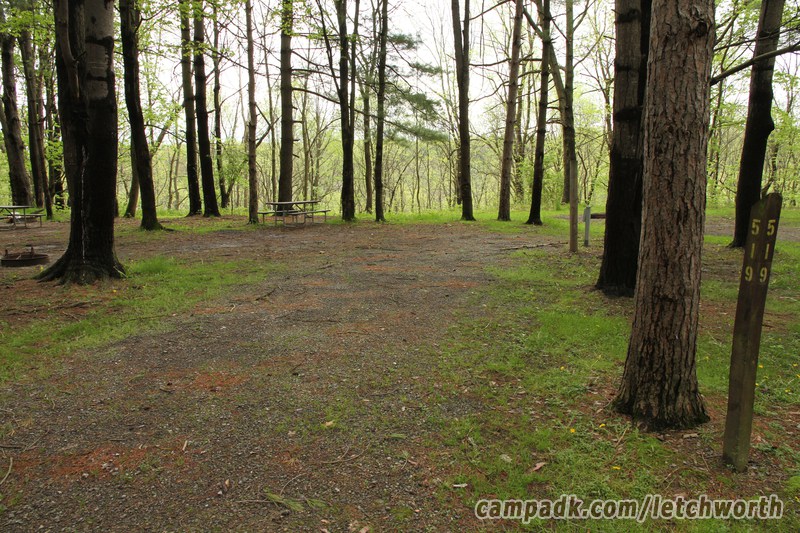 Campsite Photo of Site 519 at Letchworth State Park, New York - Looking at Site from Road Sign Visible