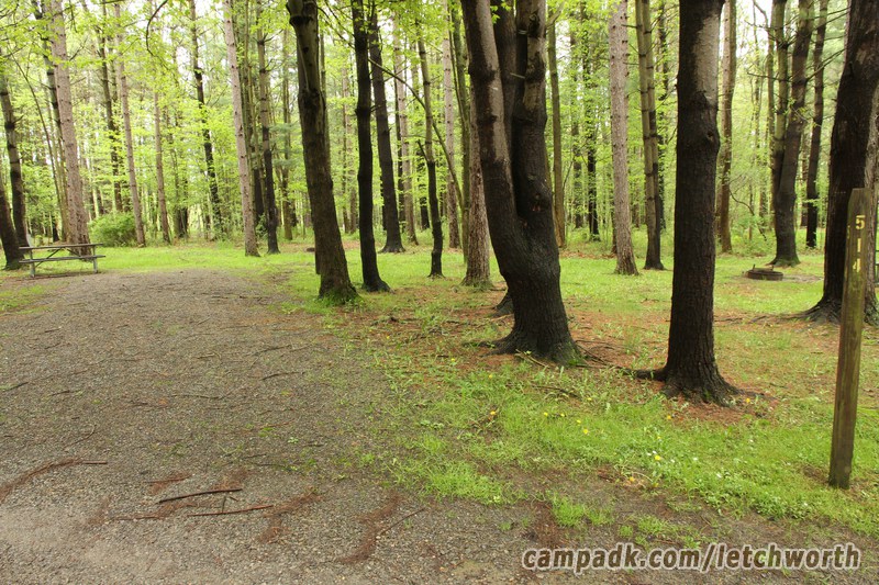 Campsite Photo of Site 514 at Letchworth State Park, New York - Looking at Site from Road Sign Visible