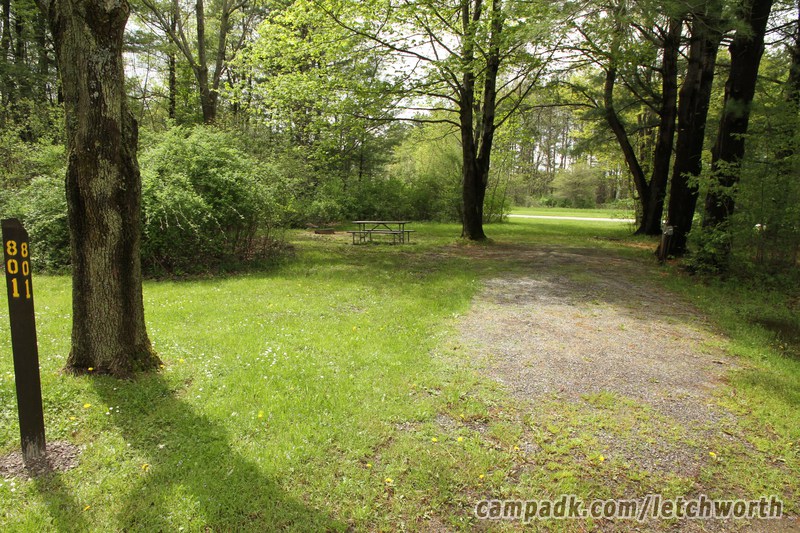Campsite Photo of Site 801 at Letchworth State Park, New York - Looking at Site from Road Sign Visible