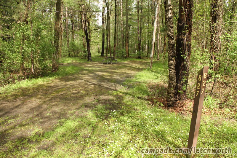 Campsite Photo of Site 827 at Letchworth State Park, New York - Looking at Site from Road Sign Visible
