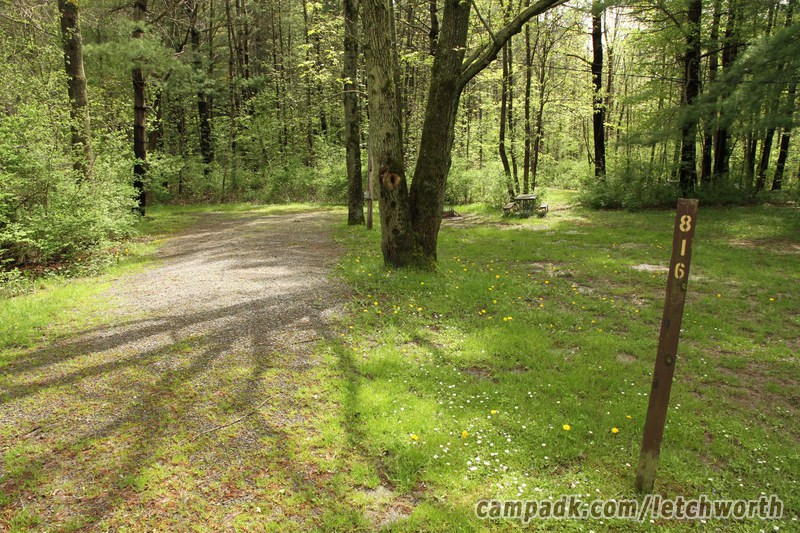 Campsite Photo of Site 816 at Letchworth State Park, New York - Looking at Site from Road Sign Visible