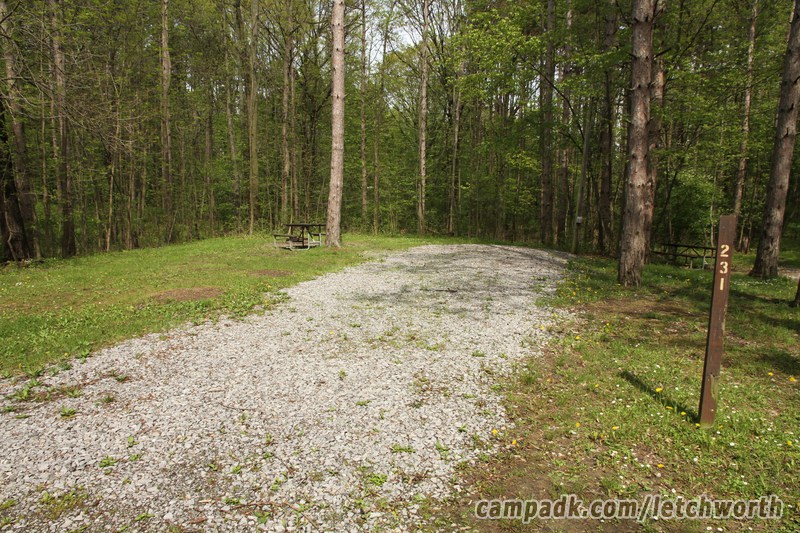 Campsite Photo of Site 231 at Letchworth State Park, New York - Looking at Site from Road Sign Visible