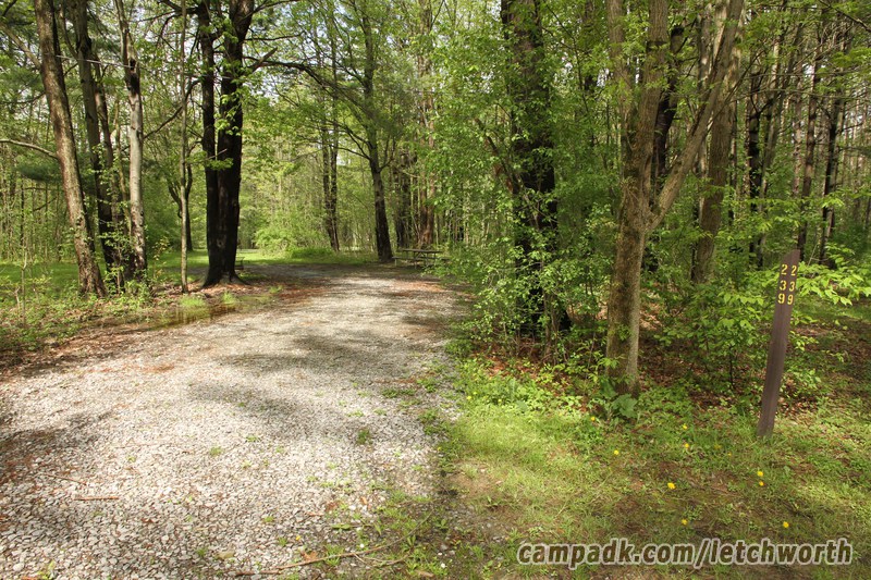 Campsite Photo of Site 239 at Letchworth State Park, New York - Looking at Site from Road Sign Visible
