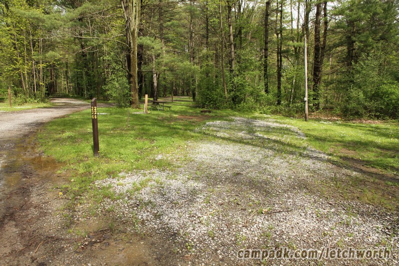 Campsite Photo of Site 226 at Letchworth State Park, New York - Looking at Site from Road Sign Visible