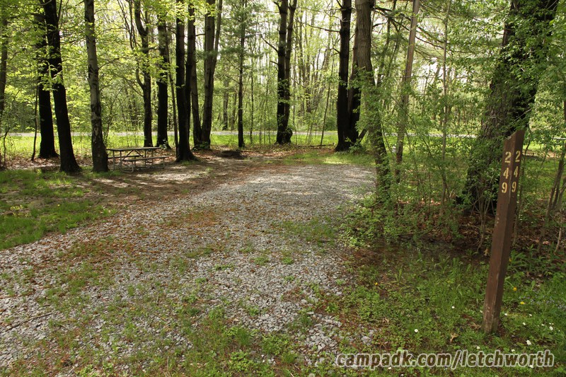 Campsite Photo of Site 249 at Letchworth State Park, New York - Looking at Site from Road Sign Visible