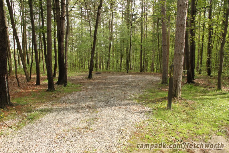 Campsite Photo of Site 115 at Letchworth State Park, New York - Looking at Site from Road Sign Visible
