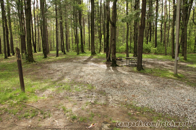 Campsite Photo of Site 110 at Letchworth State Park, New York - Looking at Site from Road Sign Visible