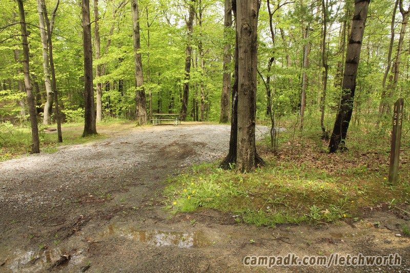 Campsite Photo of Site 125 at Letchworth State Park, New York - Looking at Site from Road Sign Visible