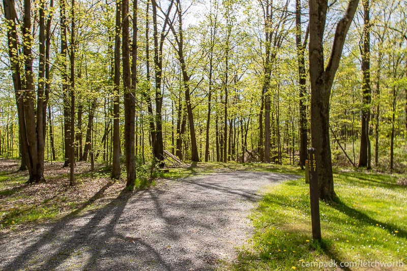 Campsite Photo of Site 127 at Letchworth State Park, New York - Looking at Site from Road Sign Visible