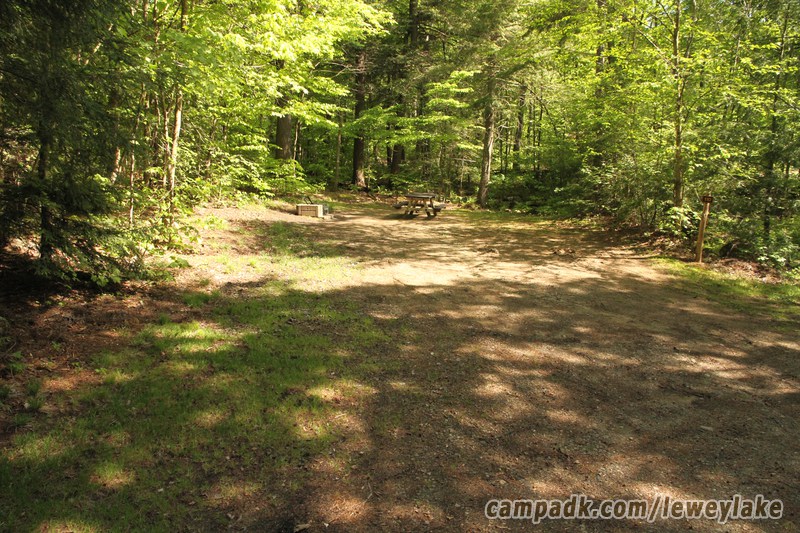 Campsite Photo of Site 110 at Lewey Lake Campground, New York - Looking at Site from Road Sign Visible