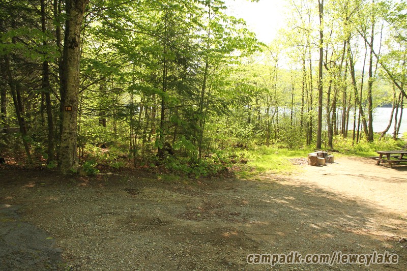 Campsite Photo of Site 115 at Lewey Lake Campground, New York - Looking at Site from Road Sign Visible