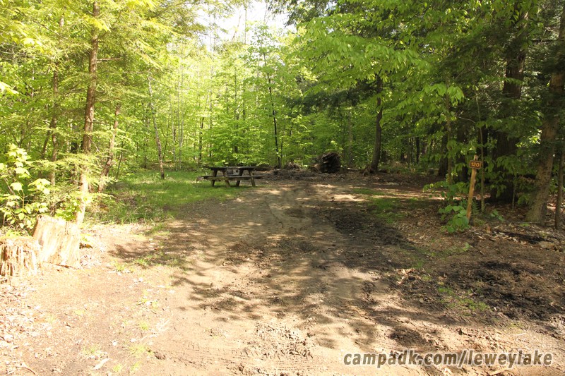 Campsite Photo of Site 120 at Lewey Lake Campground, New York - Looking at Site from Road Sign Visible