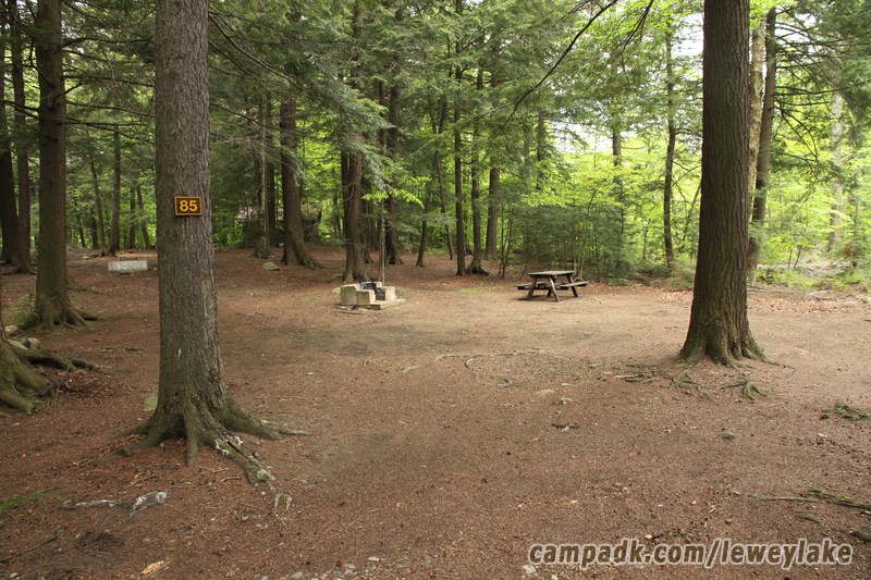 Campsite Photo of Site 85 at Lewey Lake Campground, New York - Looking at Site from Road Sign Visible
