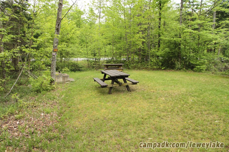 Campsite Photo of Site 65 at Lewey Lake Campground, New York - Looking at Site from Road Sign Visible