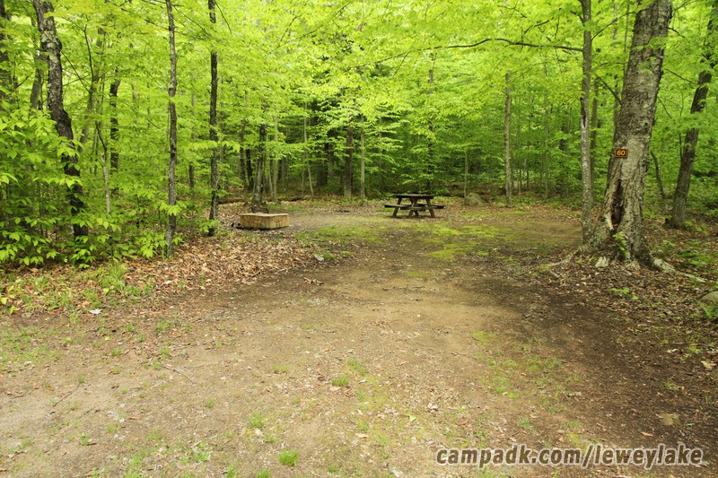 Campsite Photo of Site 60 at Lewey Lake Campground, New York - Looking at Site from Road Sign Visible