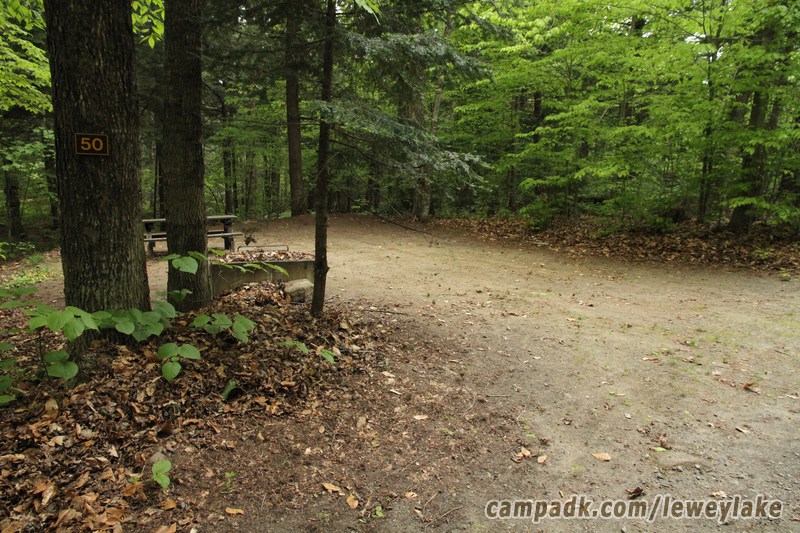 Campsite Photo of Site 50 at Lewey Lake Campground, New York - Looking at Site from Road Sign Visible