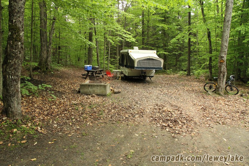 Campsite Photo of Site 40 at Lewey Lake Campground, New York - Looking at Site from Road Sign Visible