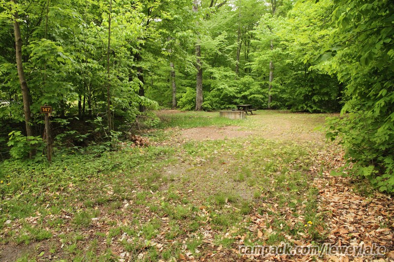 Campsite Photo of Site 147 at Lewey Lake Campground, New York - Looking at Site from Road Sign Visible