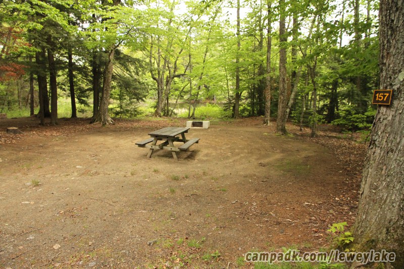 Campsite Photo of Site 157 at Lewey Lake Campground, New York - Looking at Site from Road Sign Visible