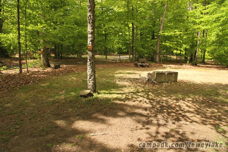 Campsite Photo of Site 177 at Lewey Lake Campground, New York - Looking at Site from Road Sign Visible