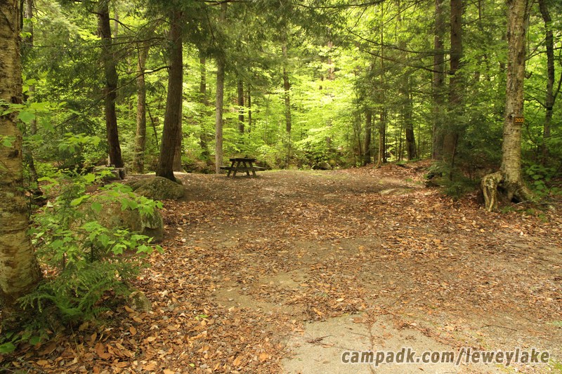 Campsite Photo of Site 203 at Lewey Lake Campground, New York - Looking at Site from Road Sign Visible