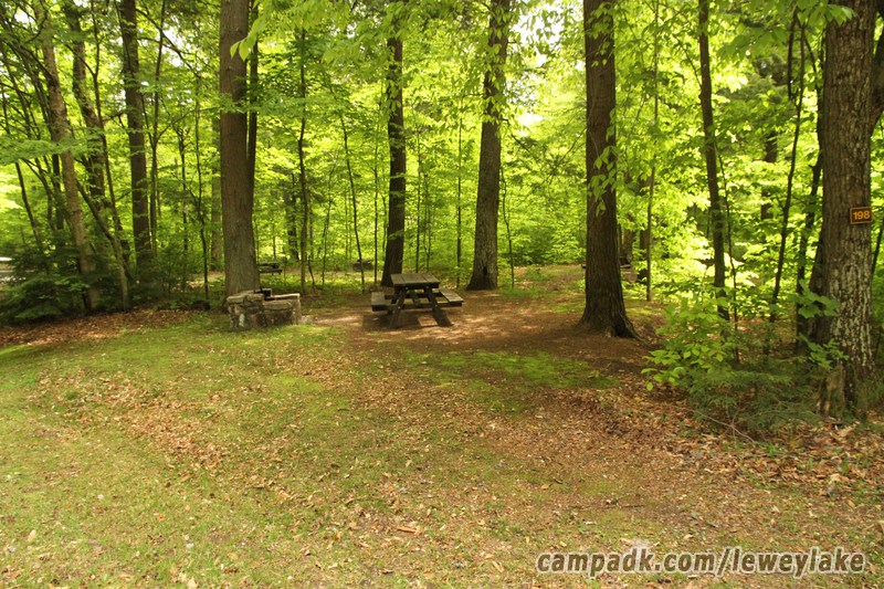 Campsite Photo of Site 198 at Lewey Lake Campground, New York - Looking at Site from Road Sign Visible