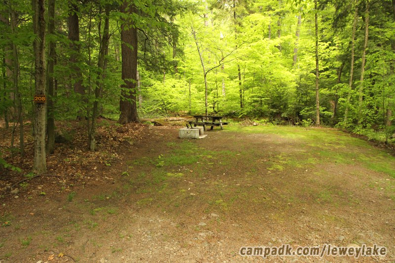 Campsite Photo of Site 208 at Lewey Lake Campground, New York - Looking at Site from Road Sign Visible