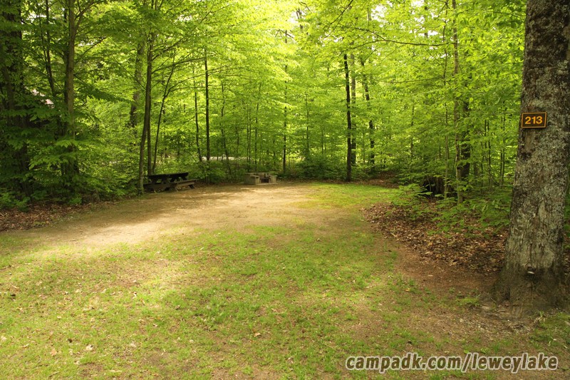Campsite Photo of Site 213 at Lewey Lake Campground, New York - Looking at Site from Road Sign Visible