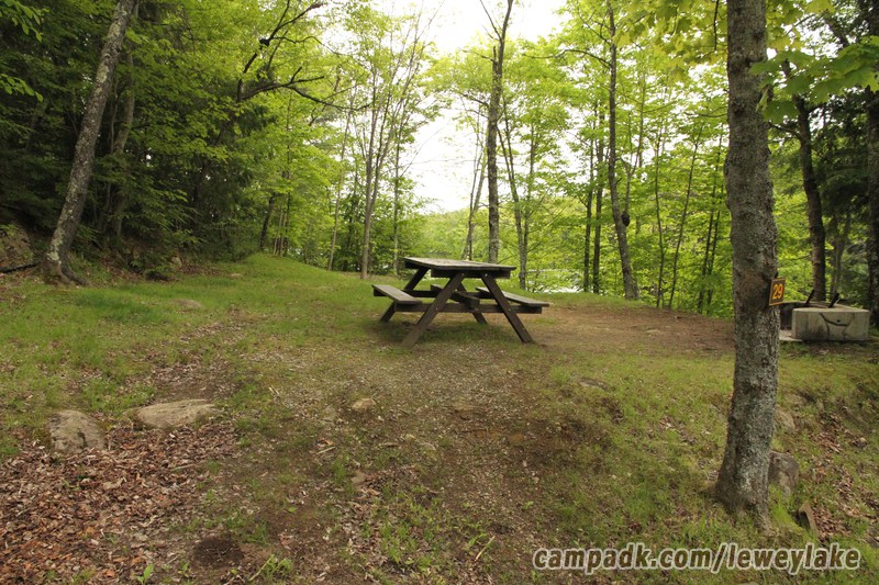 Campsite Photo of Site 29 at Lewey Lake Campground, New York - Looking at Site from Road Sign Visible