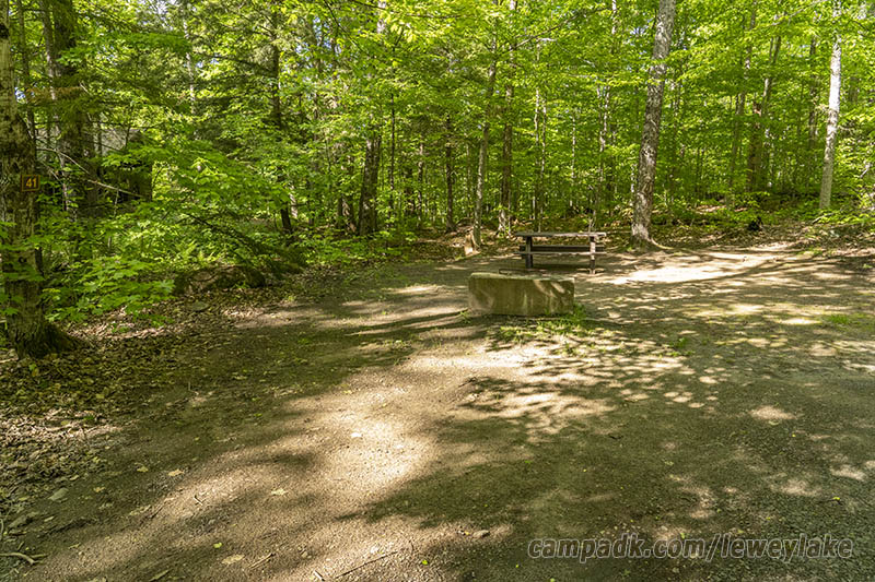 Campsite Photo of Site 41 at Lewey Lake Campground, New York - Looking at Site from Road Sign Visible