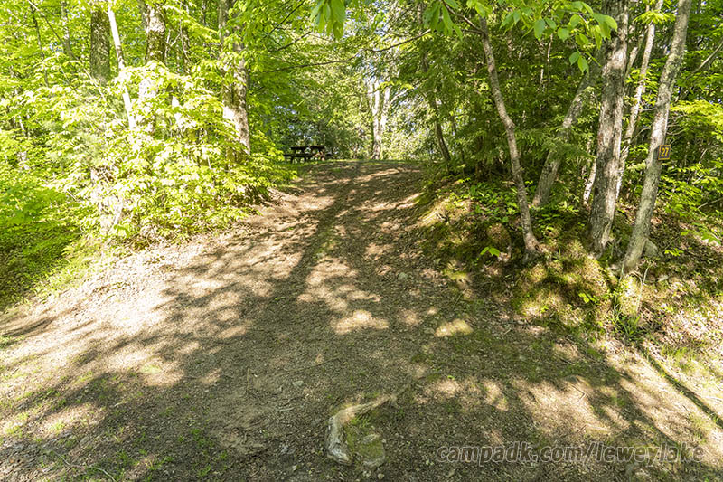 Campsite Photo of Site 27 at Lewey Lake Campground, New York - Looking at Site from Road Sign Visible