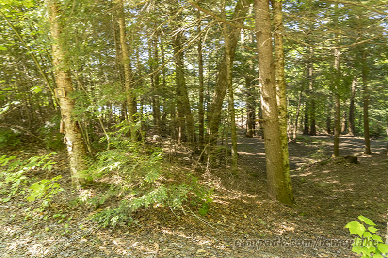 Campsite Photo of Site 9 at Lewey Lake Campground, New York - Looking at Site from Road Sign Visible
