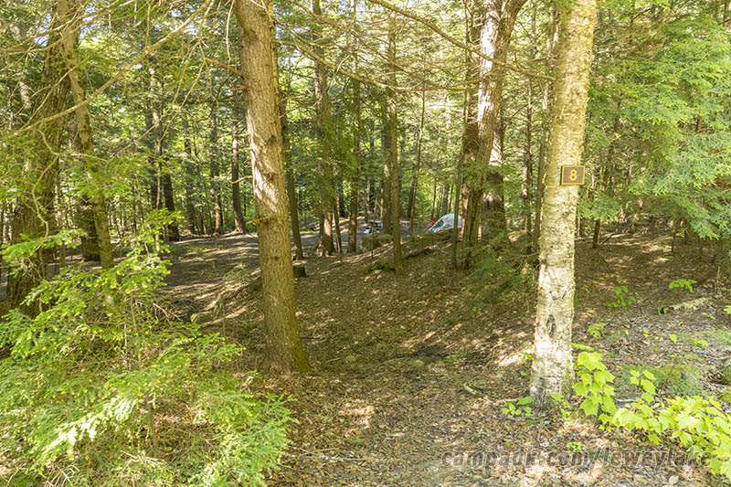 Campsite Photo of Site 8 at Lewey Lake Campground, New York - Looking at Site from Road Sign Visible
