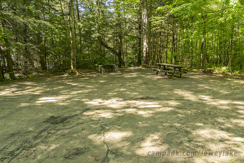 Campsite Photo of Site 10 at Lewey Lake Campground, New York - Looking at Site from Road Sign Visible