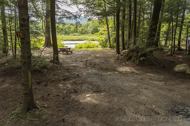 Campsite Photo of Site 78 at Lewey Lake Campground, New York - Looking at Site from Road Sign Visible