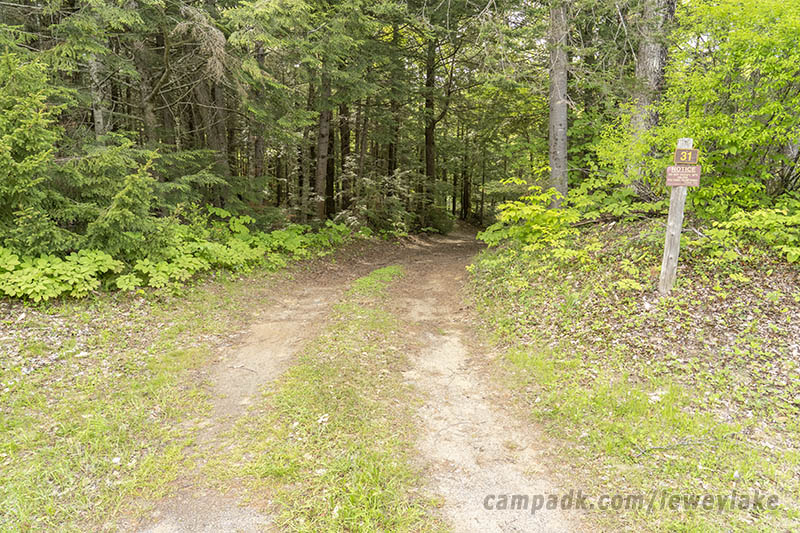 Campsite Photo of Site 31 at Lewey Lake Campground, New York - Looking at Site from Road Sign Visible