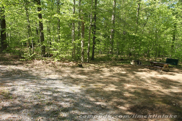 Campsite Photo of Site 138 at Limekiln Lake Campground, New York - Looking at Site from Road Sign Visible
