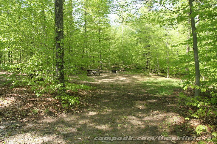 Campsite Photo of Site 169 at Limekiln Lake Campground, New York - Looking at Site from Road Sign Visible