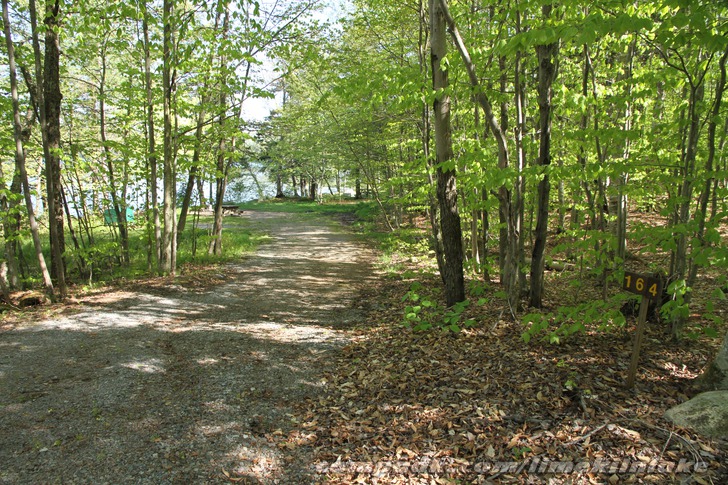 Campsite Photo of Site 164 at Limekiln Lake Campground, New York - Looking at Site from Road Sign Visible