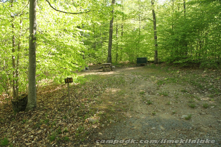 Campsite Photo of Site 158 at Limekiln Lake Campground, New York - Looking at Site from Road Sign Visible