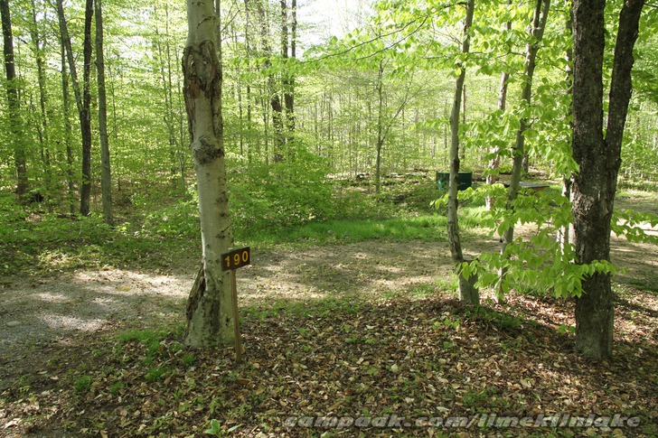 Campsite Photo of Site 190 at Limekiln Lake Campground, New York - Looking at Site from Road Sign Visible