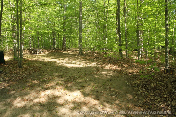 Campsite Photo of Site 195 at Limekiln Lake Campground, New York - Looking at Site from Road Sign Visible