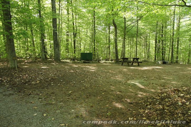 Campsite Photo of Site 200 at Limekiln Lake Campground, New York - Looking at Site from Road Sign Visible
