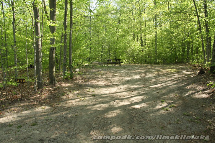 Campsite Photo of Site 210 at Limekiln Lake Campground, New York - Looking at Site from Road Sign Visible