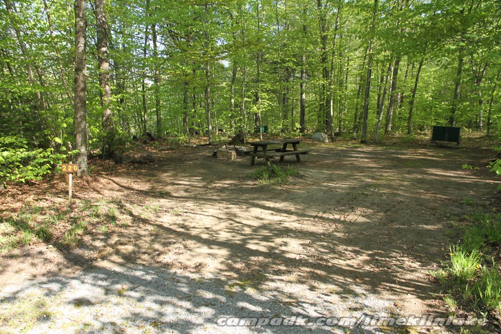 Campsite Photo of Site 220 at Limekiln Lake Campground, New York - Looking at Site from Road Sign Visible