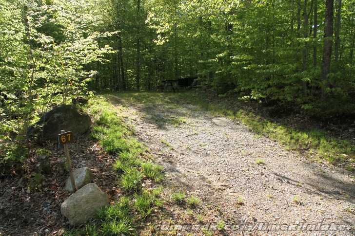 Campsite Photo of Site 67 at Limekiln Lake Campground, New York - Looking at Site from Road Sign Visible